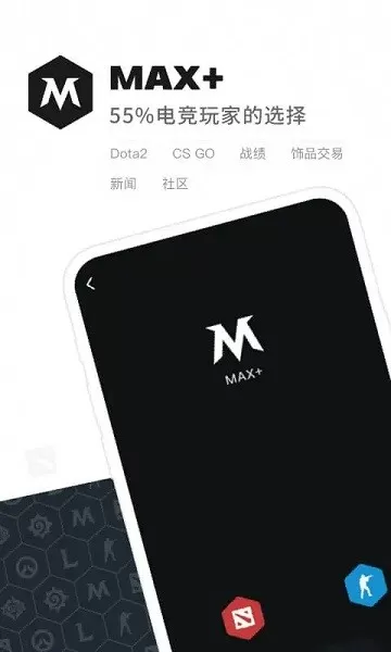 Max官方正版图3