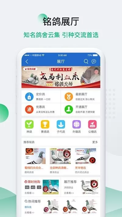 中国信鸽信息网最新版下载图2