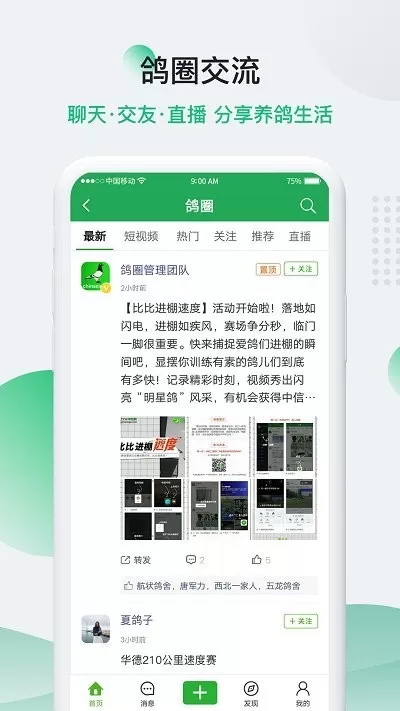 中国信鸽信息网最新版下载图1