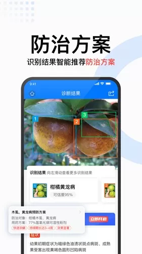 识农下载正版图3