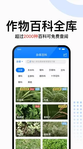 识农下载正版图2