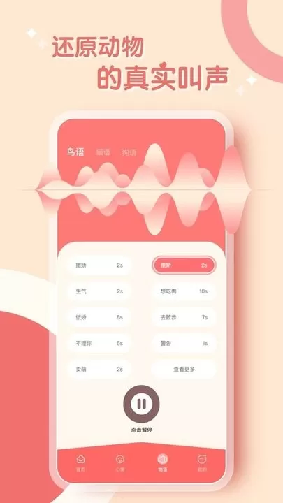 鹦鹉翻译器最新版本图2