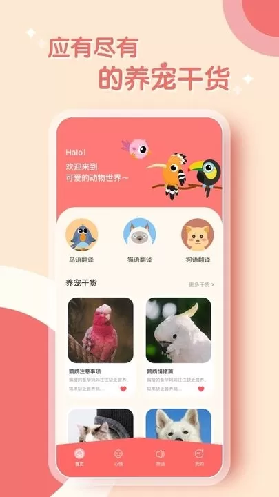 鹦鹉翻译器最新版本图1