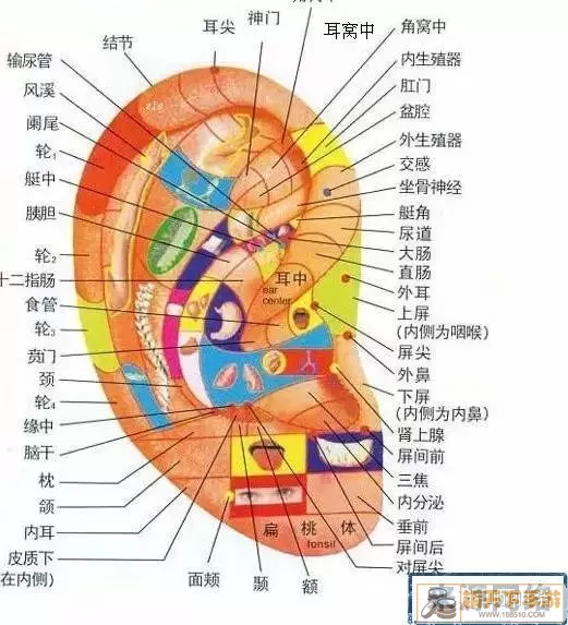 人体工厂耳朵那一关最后一个波形图过不去