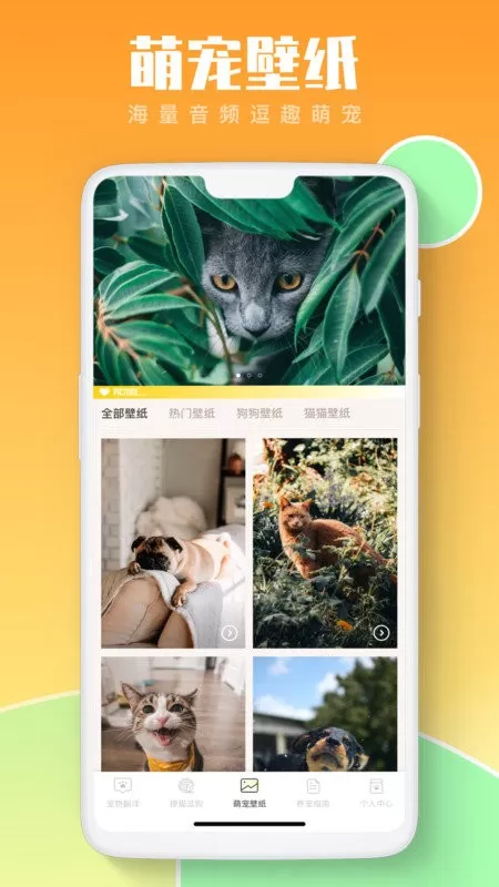 猫咪翻译助手下载最新版图1