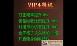 黑暗光年vip一共多少级