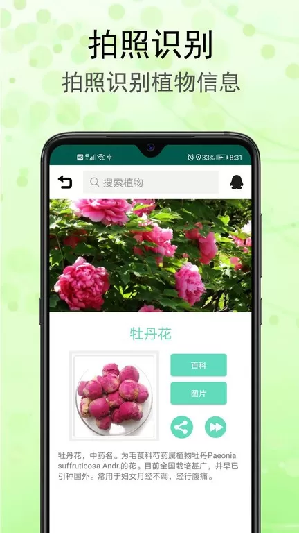 识花草app安卓版图0