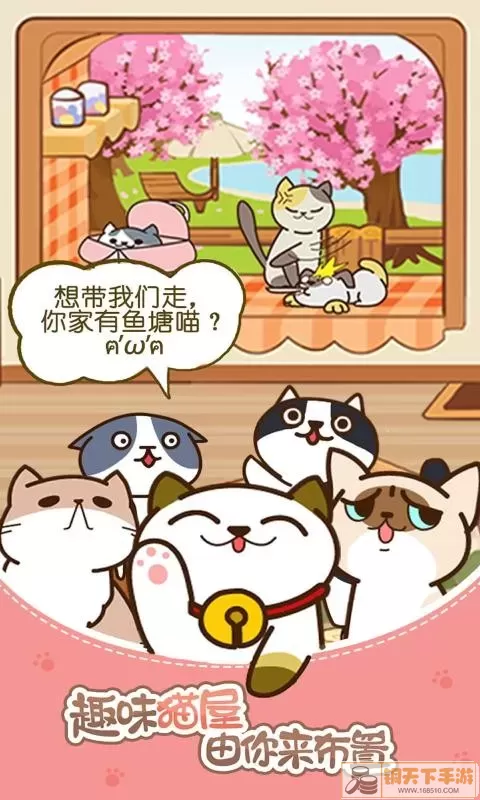 猫咪小院安卓手机版