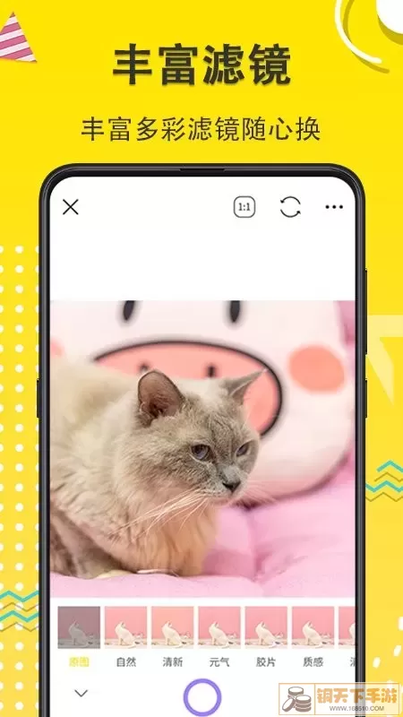 宠物动漫相机平台下载