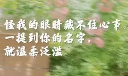 你是我眼里的光文案