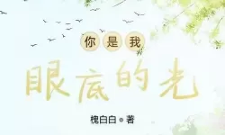 你是我眼里的光结尾