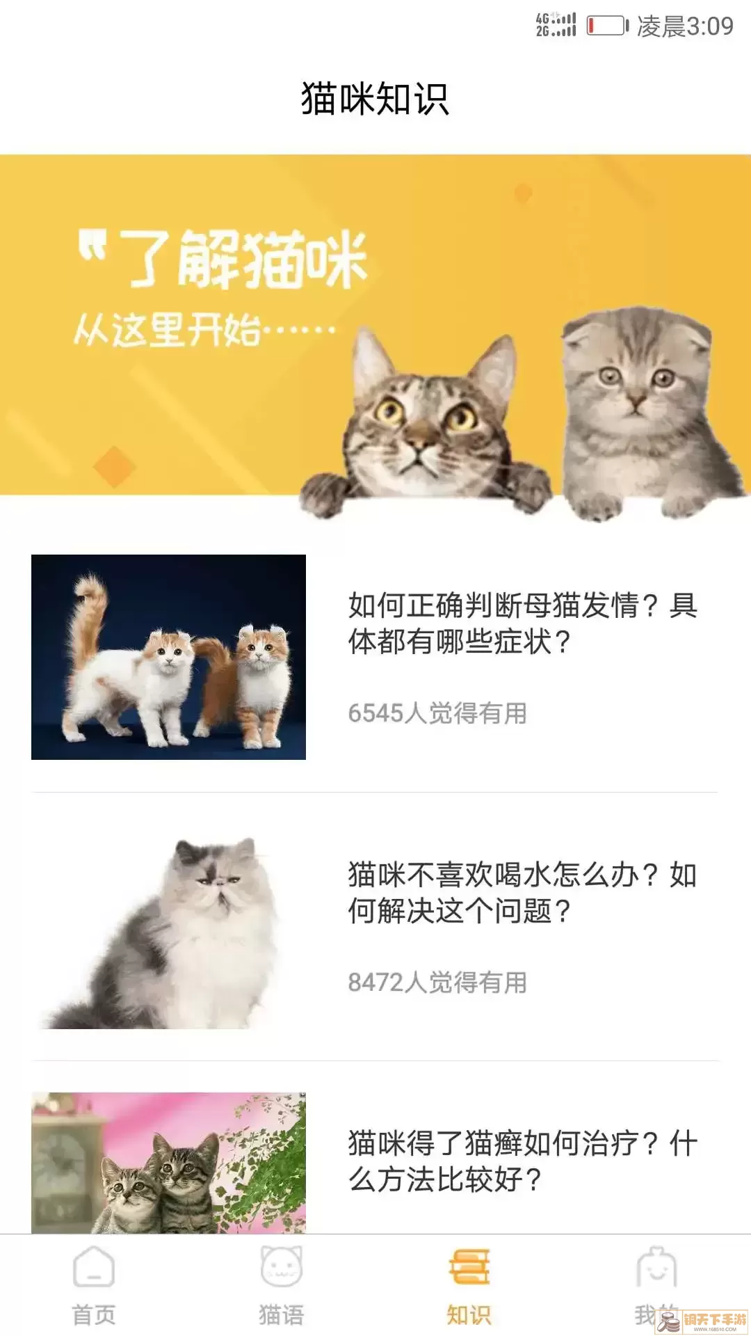 猫咪翻译器下载最新版