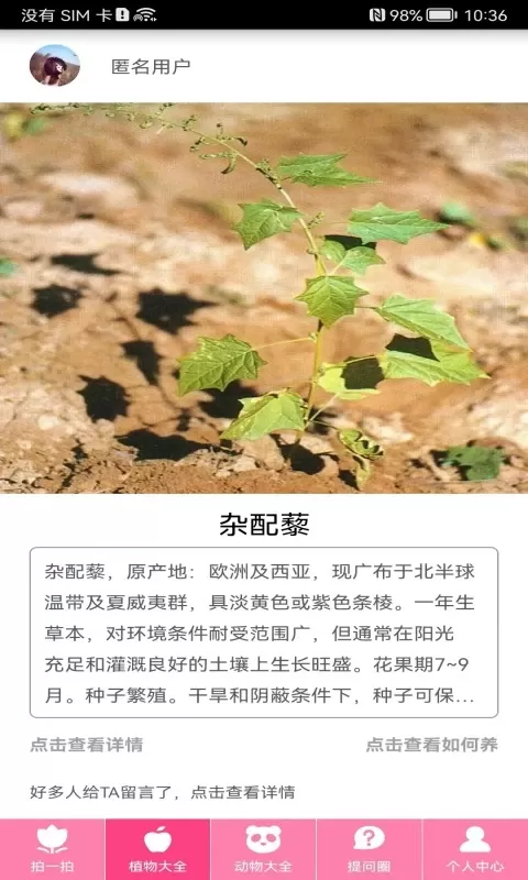 拍照识物最新版下载图2