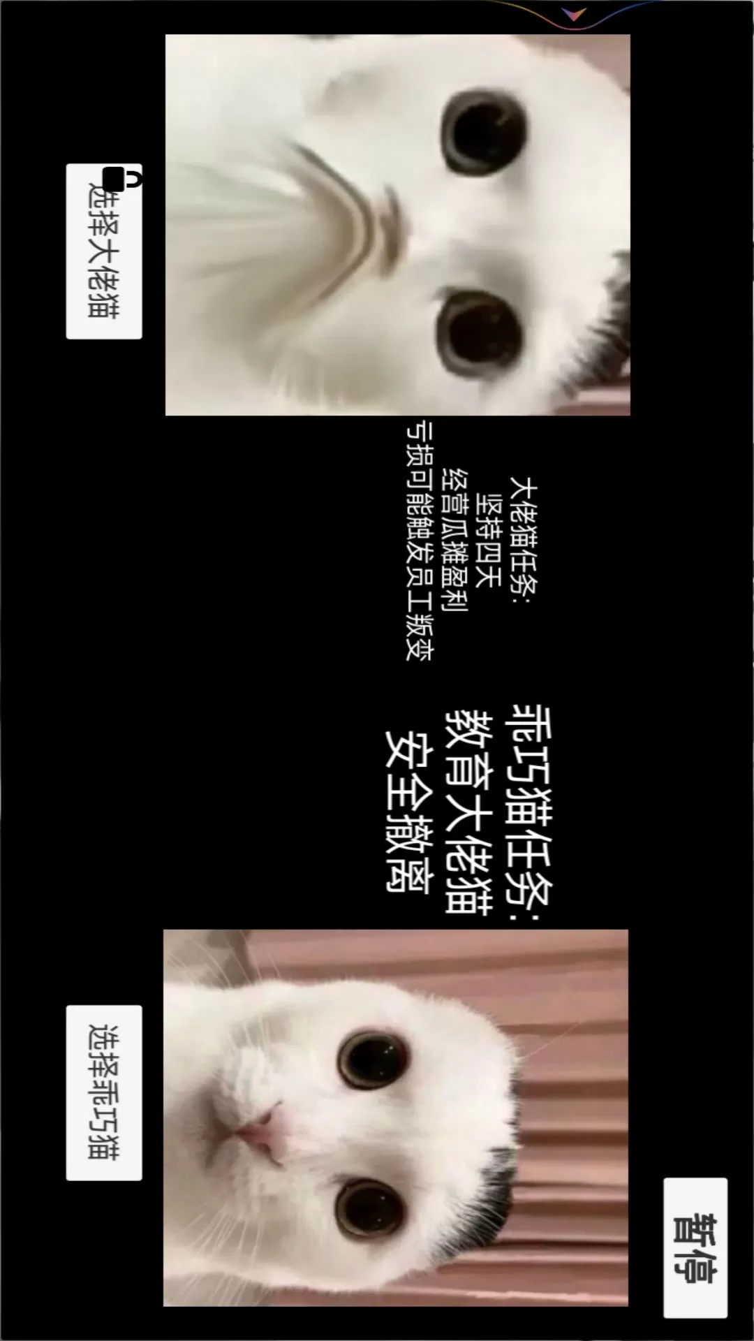 猫猫惊魂夜游戏最新版图4