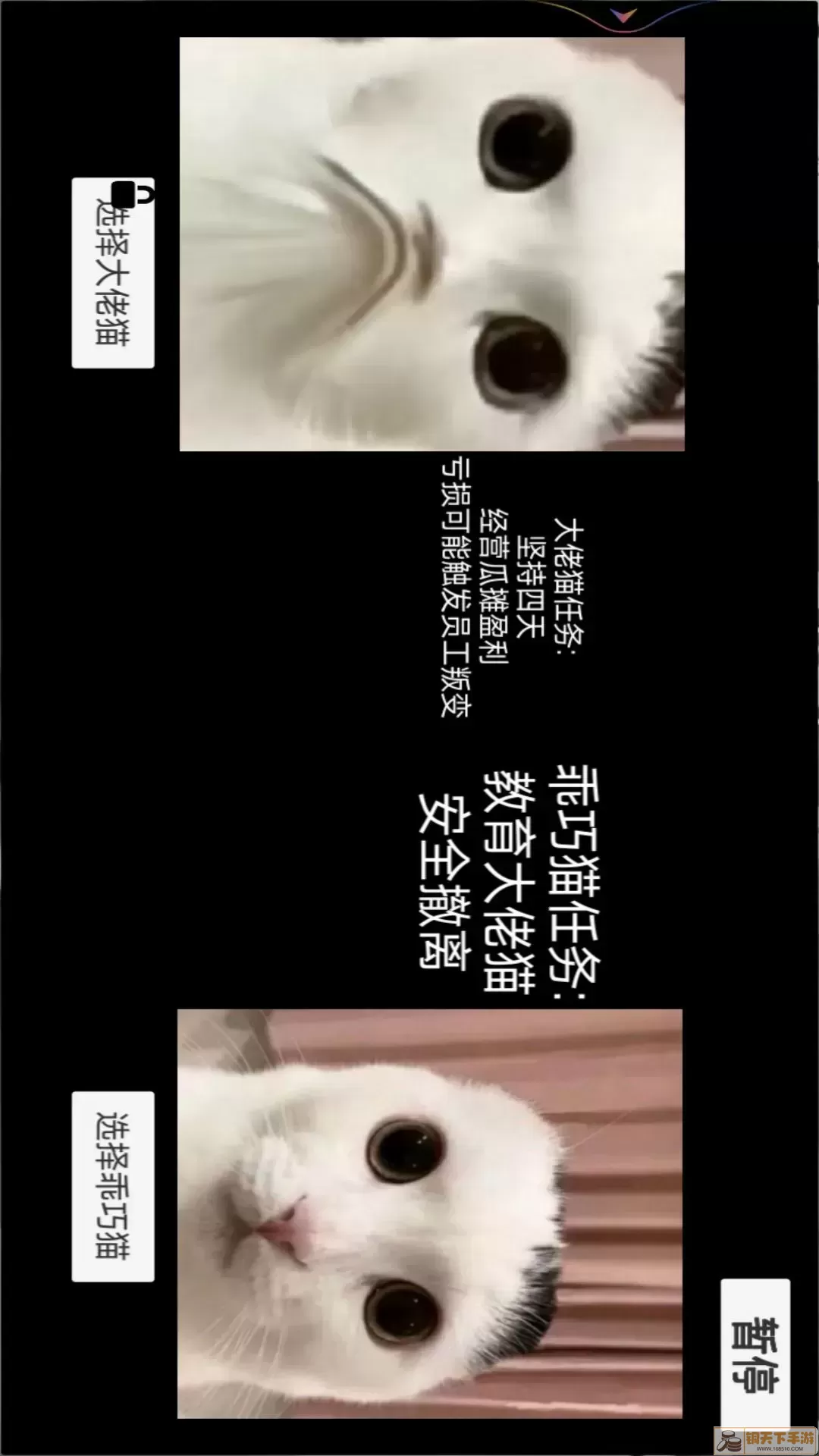 猫猫惊魂夜游戏最新版