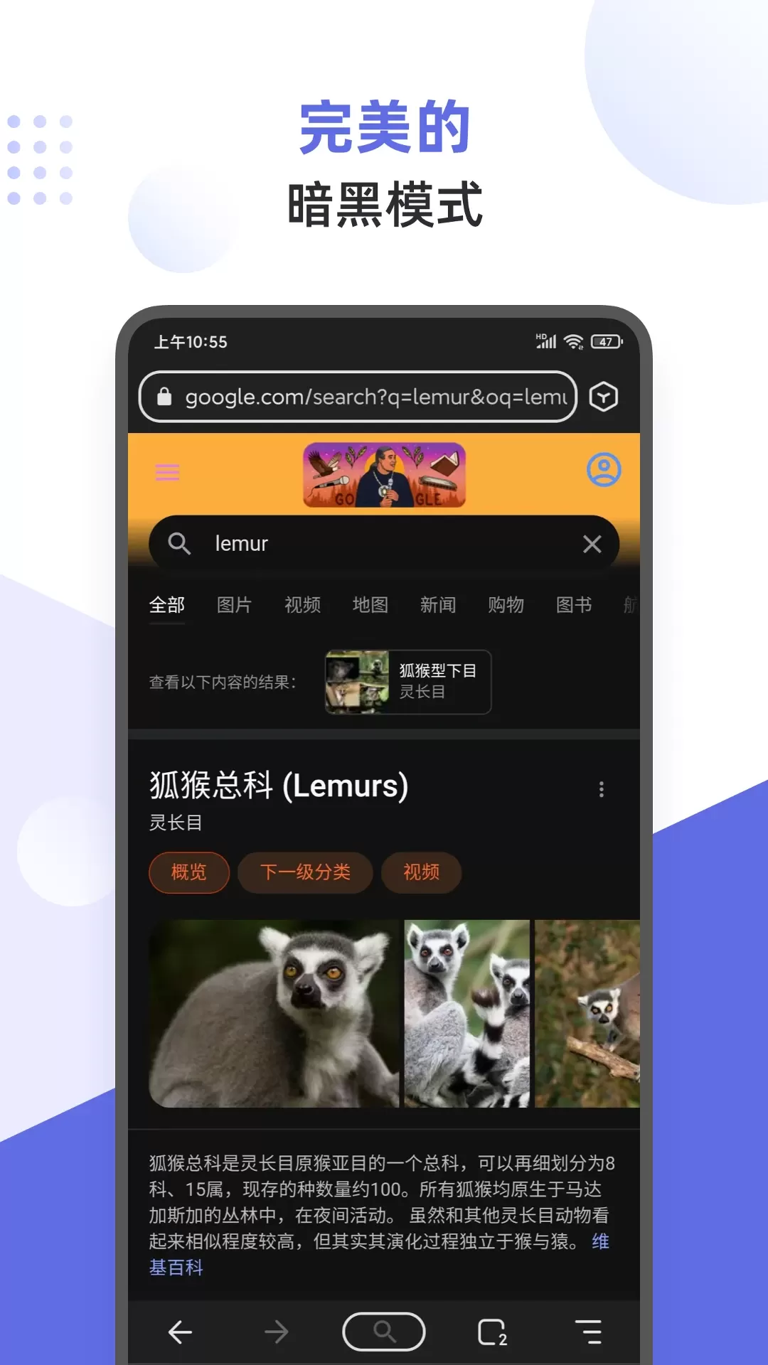 狐猴浏览器app安卓版图2