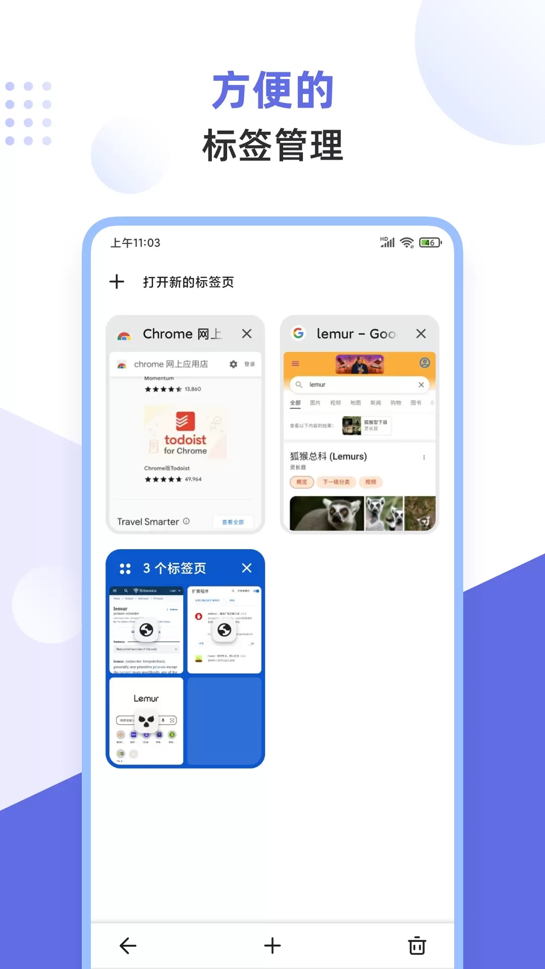 狐猴浏览器app安卓版图3