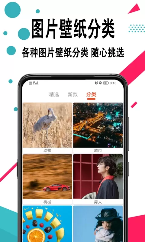 壁纸最新版图4