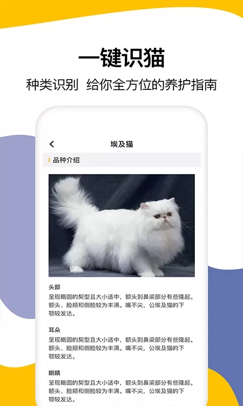 猫语翻译下载最新版本图3