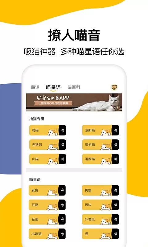 猫语翻译下载最新版本图1