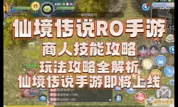 ro手游商人素质加点