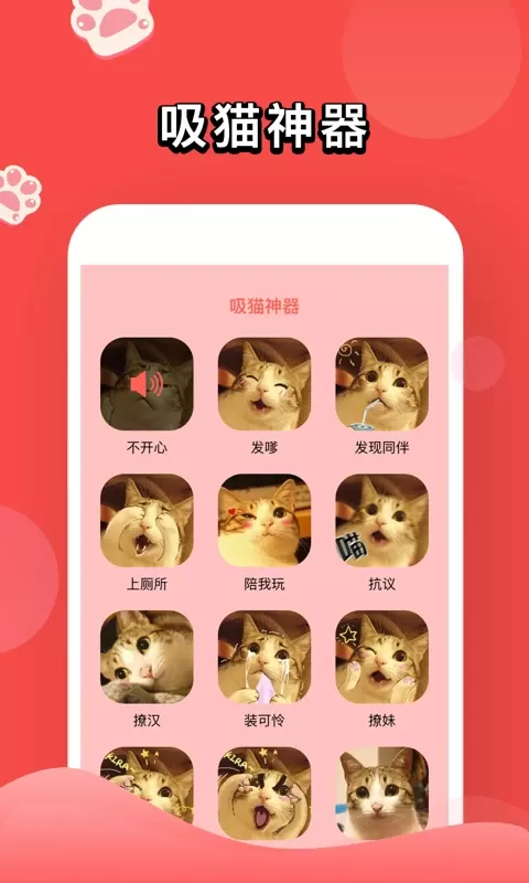 人猫交流器安卓版图2