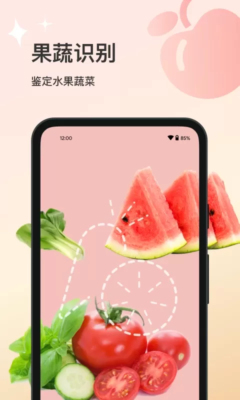 花卉识别官网版app图2