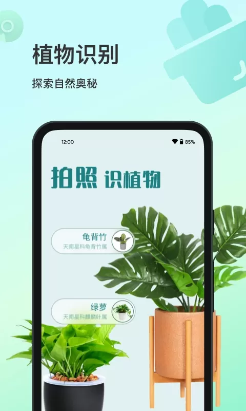 花卉识别官网版app图0