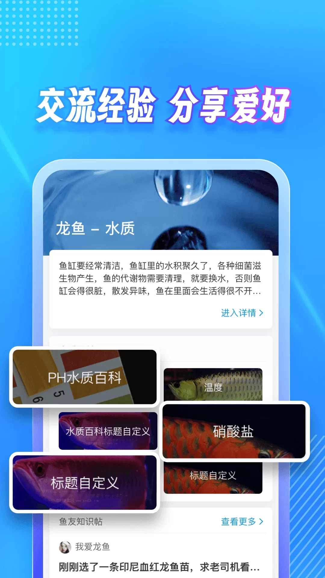 龙巅免费版下载图2