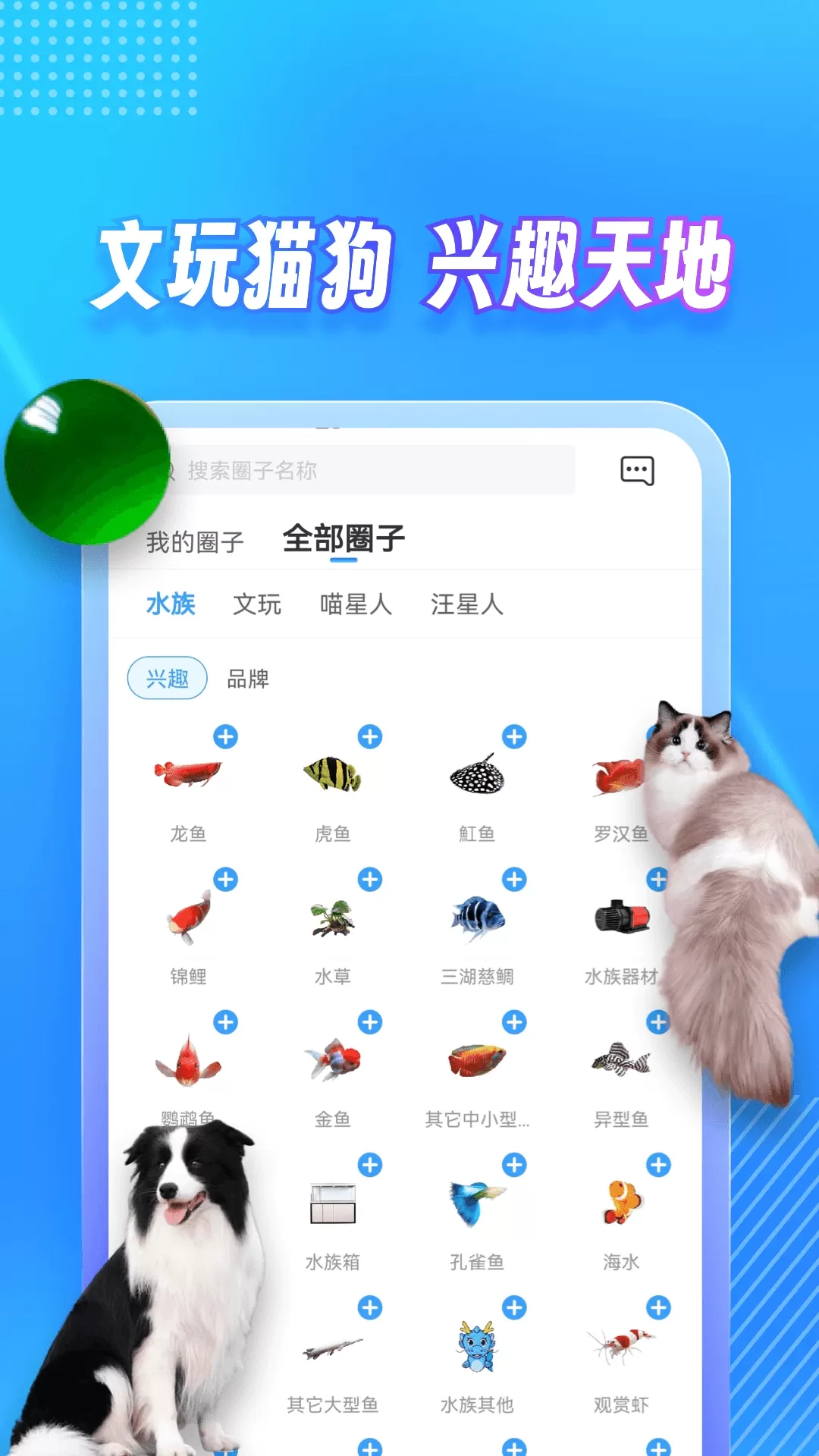 龙巅免费版下载图1