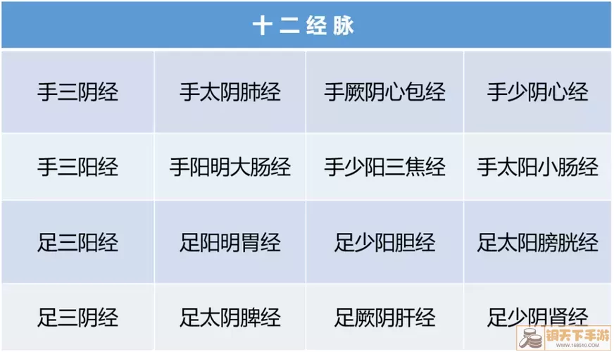 九阴真经  经脉都开哪几个