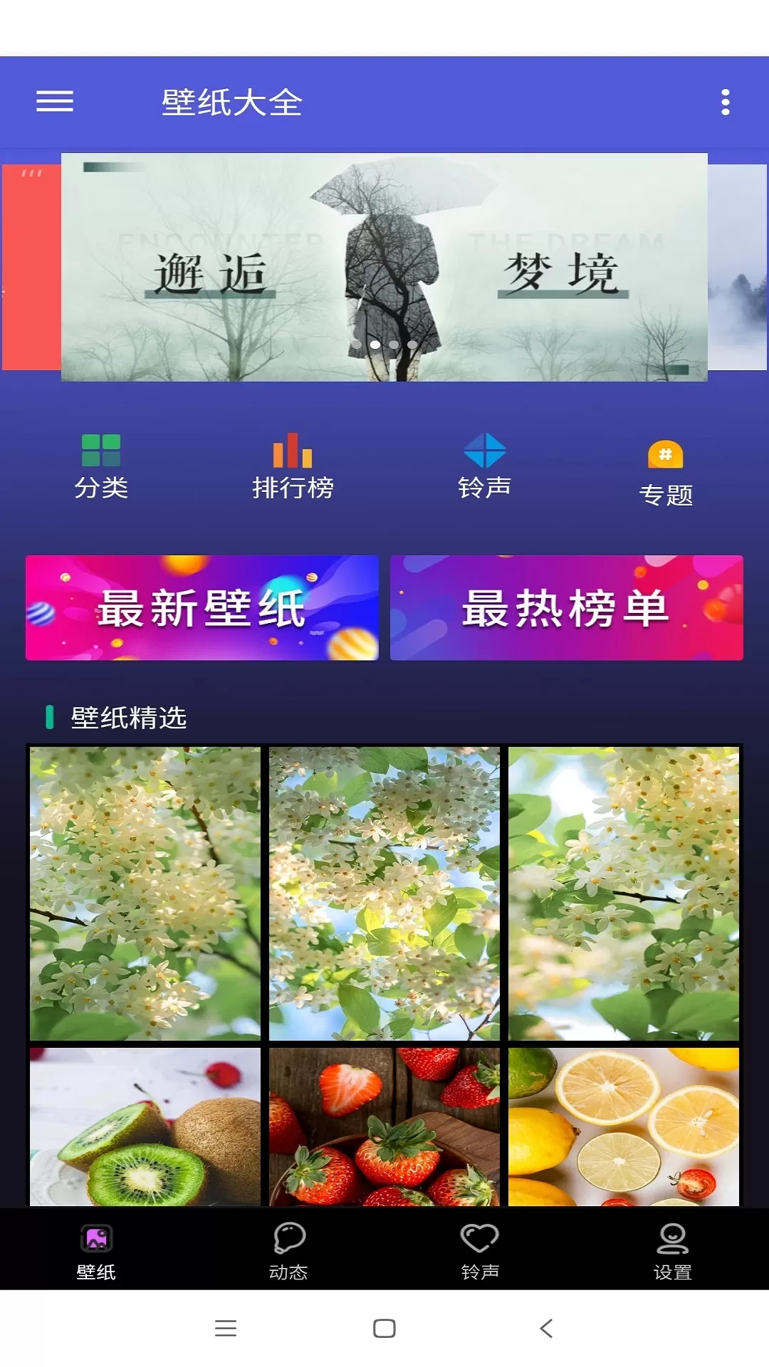 壁纸图片大师免费下载图1