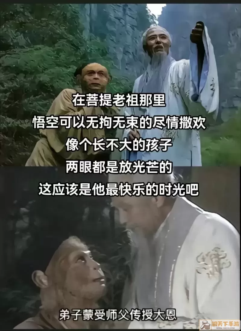 笑傲江湖的网各