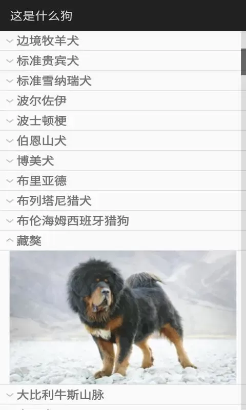 这是什么狗下载手机版图1