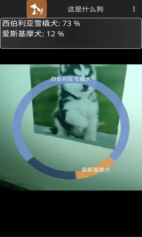 这是什么狗下载手机版图4