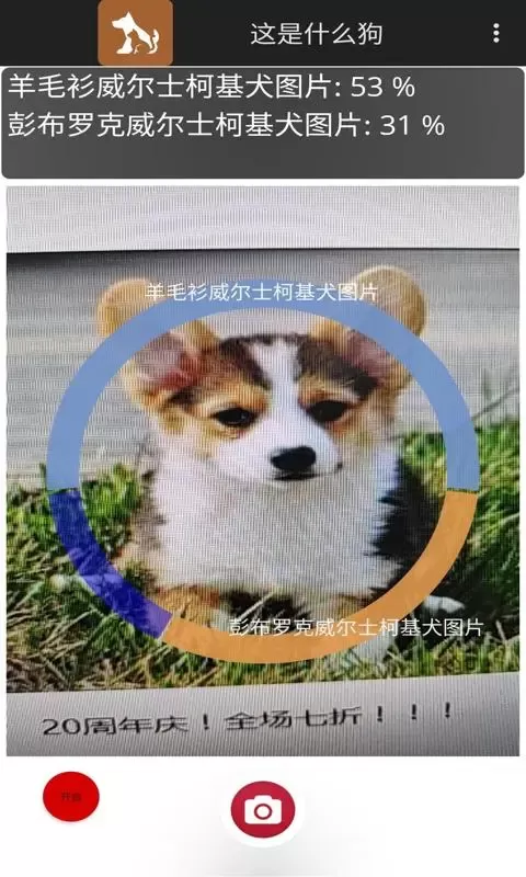 这是什么狗下载手机版图3