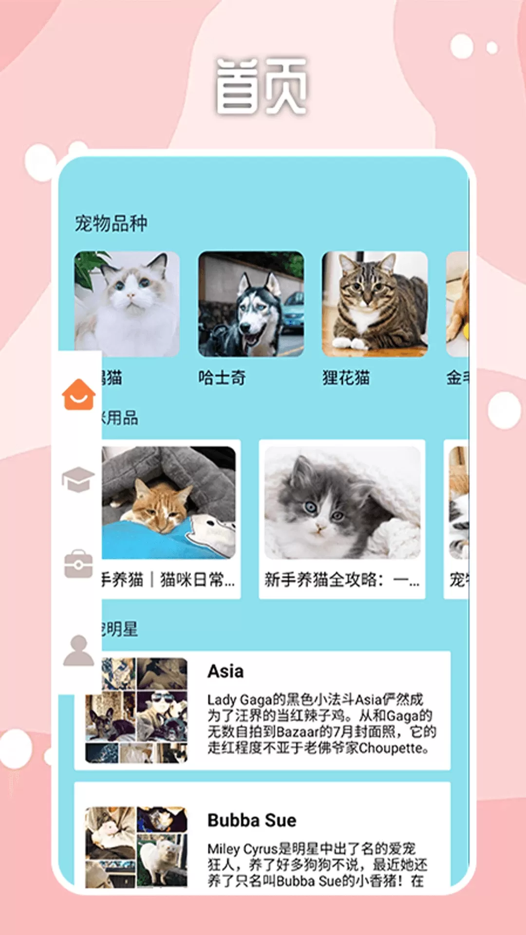 密聊猫咪平台下载图0