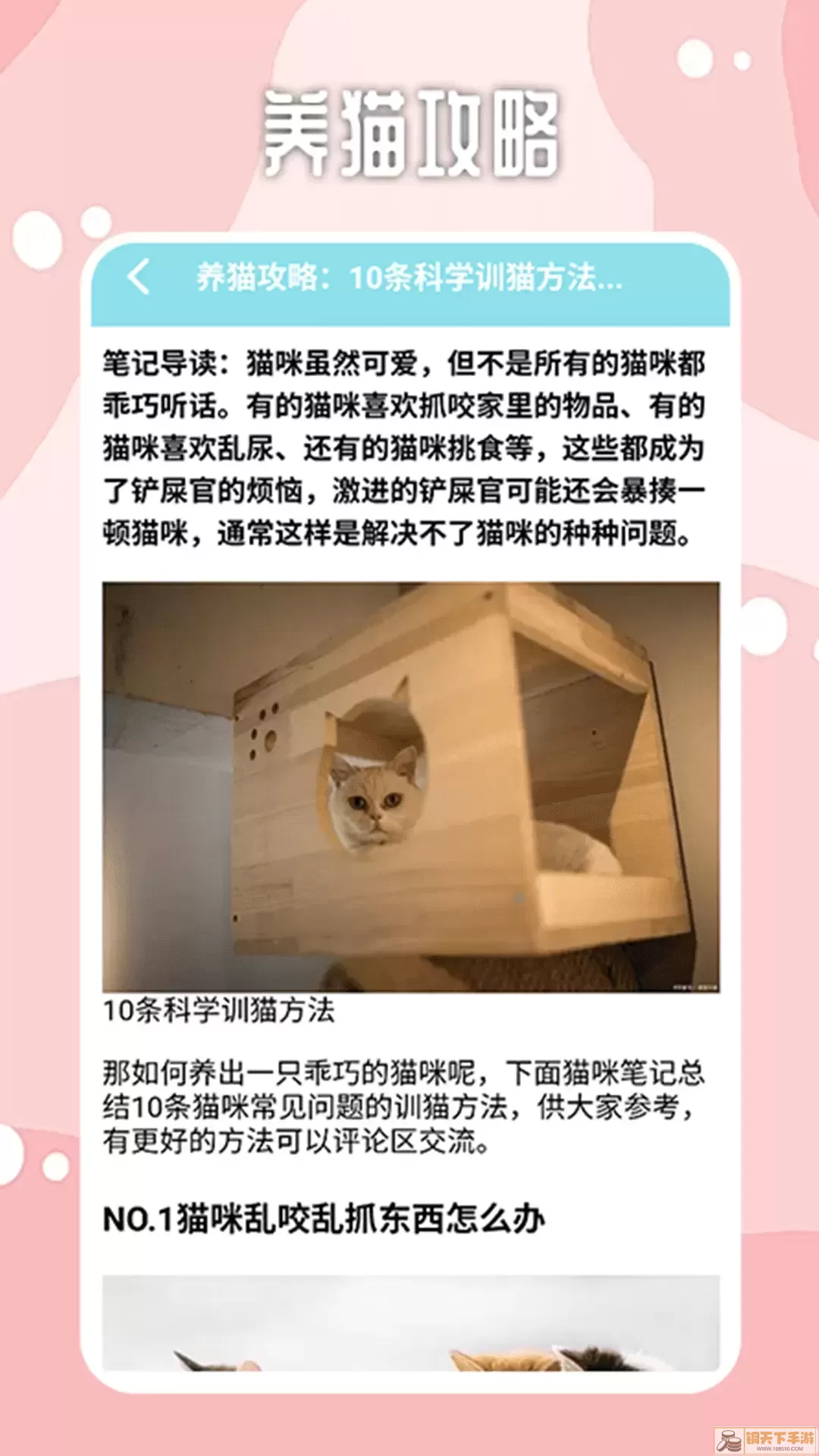 密聊猫咪平台下载