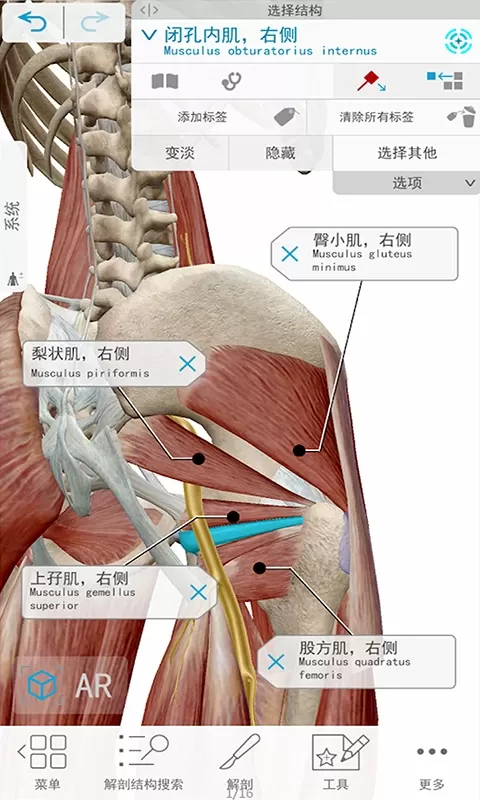 3D人体解剖下载新版图1