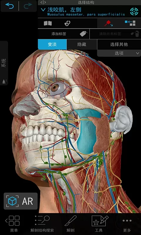 3D人体解剖下载新版图0