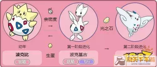 钻石波克比怎么进化-pokemon波克比几级进化