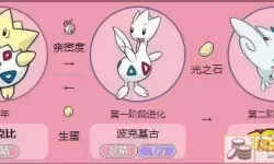 钻石波克比怎么进化-pokemon波克比几级进化