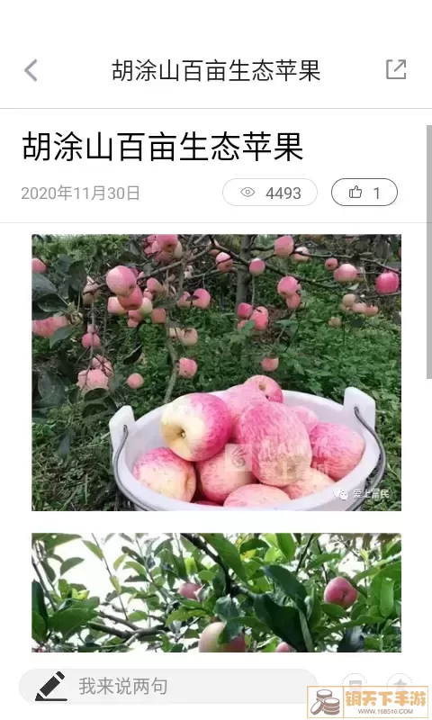 富民融媒下载app