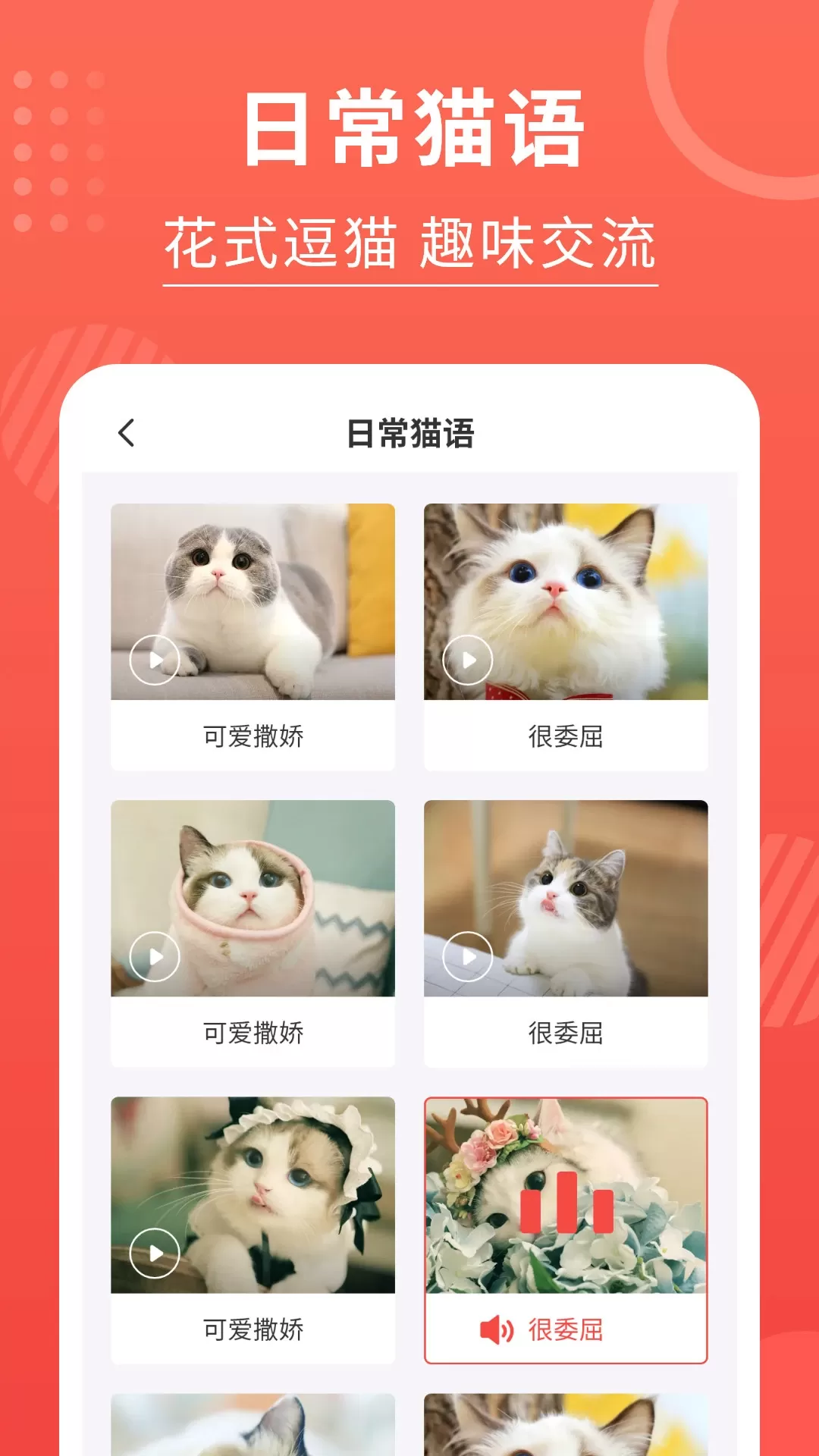 猫猫翻译器安卓最新版图3