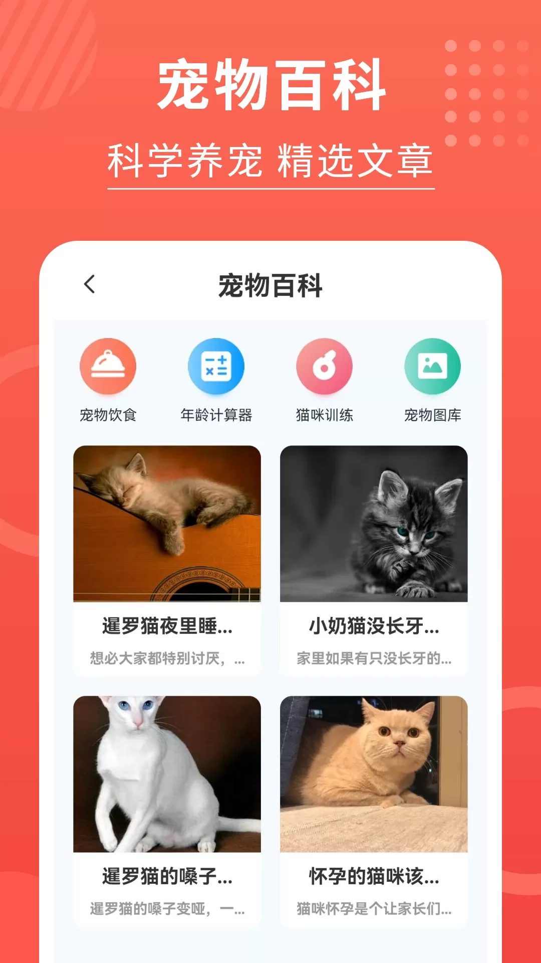 猫猫翻译器安卓最新版图1