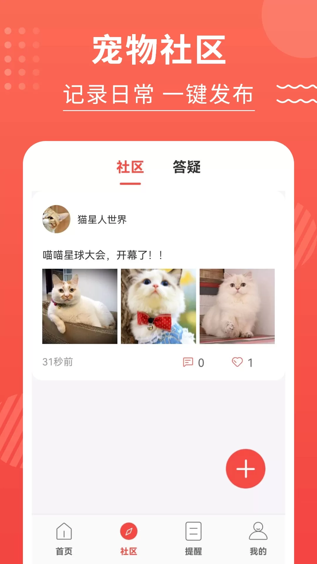 猫猫翻译器安卓最新版图4