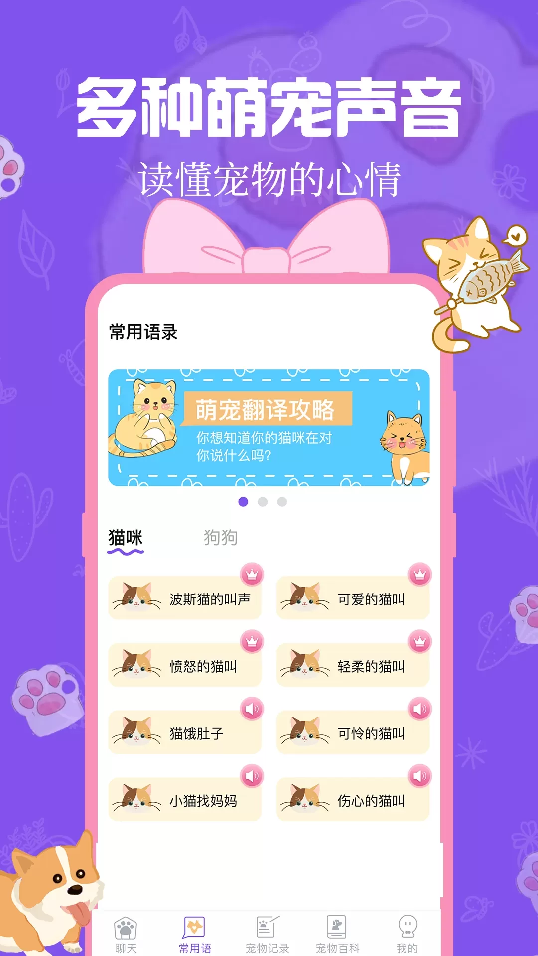 猫狗翻译器官网版最新图1