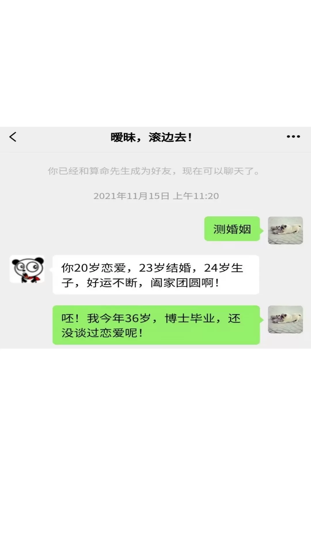 对话视频生成器下载正版图4