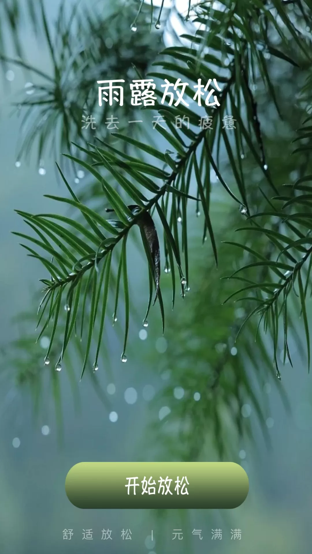 雨露趣看平台下载图2