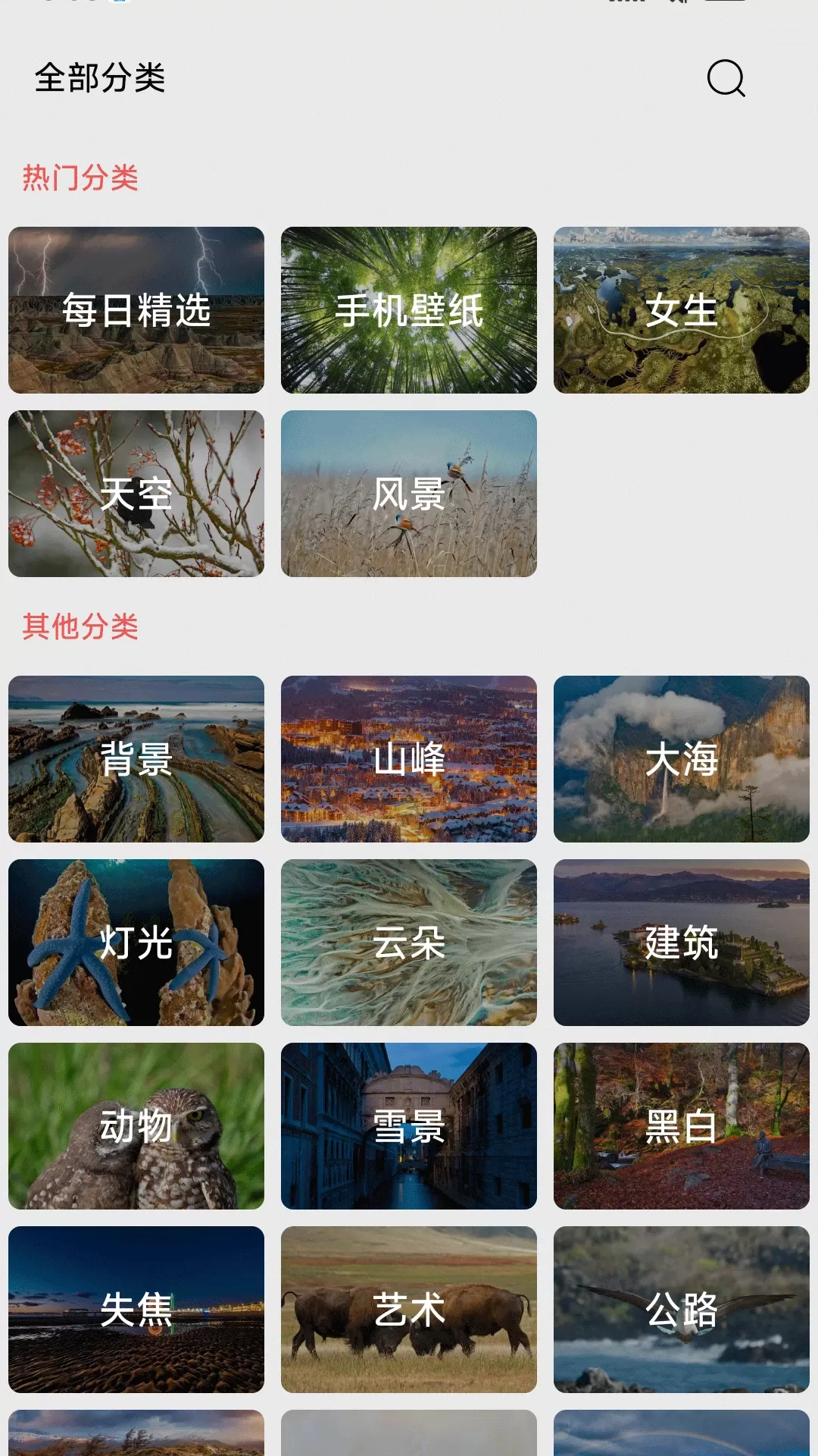 伞果壁纸下载免费版图2